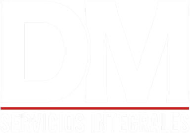 DM Soluciones Icon
